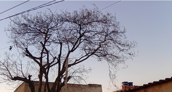 Domingo de Dia dos Pais terá calor de até 32°C em Campinas