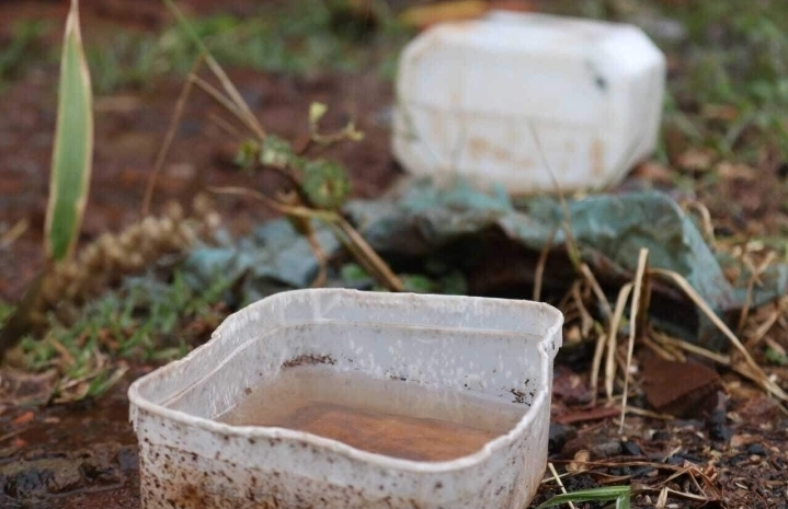 Alerta de dengue coloca bairros do Campo Belo entre as áreas de alto risco em Campinas
