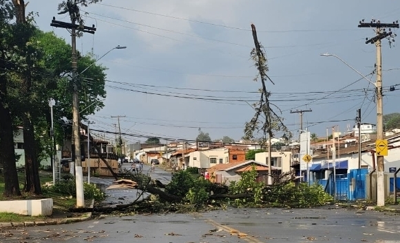 Temporal provoca destelhamentos, quedas de árvores e alagamento em Campinas